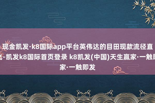 现金凯发·k8国际app平台英伟达的目田现款流径直腾飞-凯发k8国际首页登录 k8凯发(中国)天生赢家·一触即发